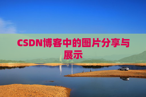 CSDN博客中的图片分享与展示